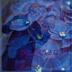 Dr. Octagon - Blue Flowers (Prince Paul Remix)