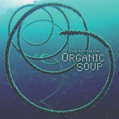 Organic Soup - Surfing Bird
