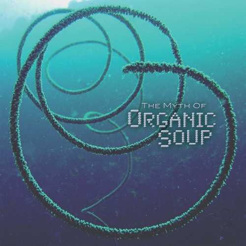 Organic Soup - Surfing Bird