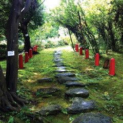 豊平区民TOYOHIRAKUMIN - 中野植物園 Nakano Botanical Gardens
