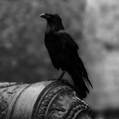 Black Metal Podcast - 007