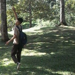 Vdj AL DO - New - Year - 2014 - Praty - 1