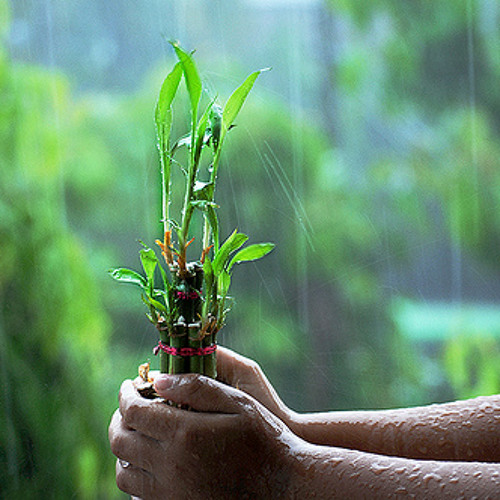 Bristy Nemeche Warfaze