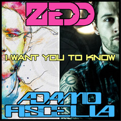 Zedd - I Want You To Know (Adamo Fiscella cover)