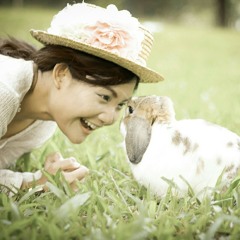 See you again. . Ver1