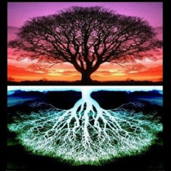 Deeply Rooted Guides Connect You With Your Reality