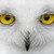 Artwork for Annie Lennox - Little Bird - ( Remix )  FREE DONWLOAD - 15