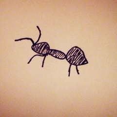 Ant