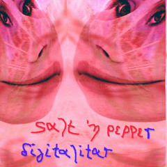 salt and pepper - digitalitar  Музика новинки