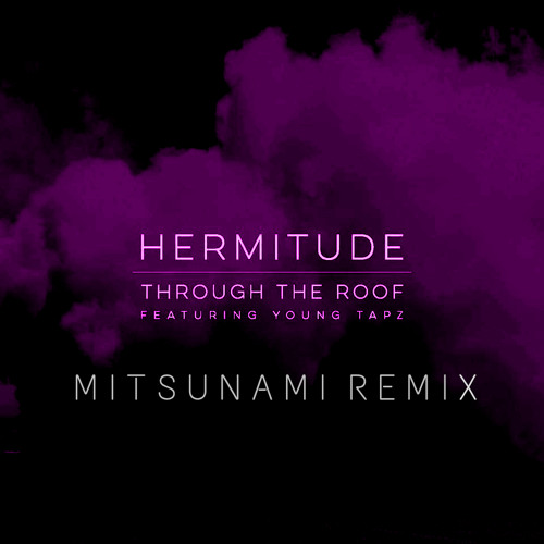 Hermitude - Through The Roof (Mitsunami Remix)