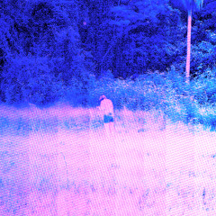 ยืนต้นตาย