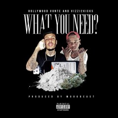 "What you Need" | HollywoodVonte X Goodfella Viz  Prod. by MookBeast