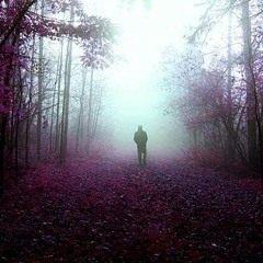 Teilo Ft Timi - Licht