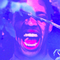 Travis Scott - Drunk (SINAMIX)