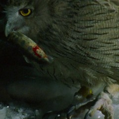 HUNT mixtape #4 - by surfija