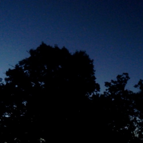 |UNBEKNOWNST|