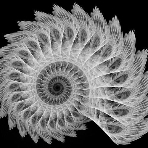 Love Will Tear Uz Apart