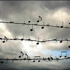 Barbed Wire