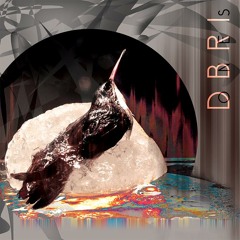 Ivan Dbri It's This Great House Feeling Panama Red Records