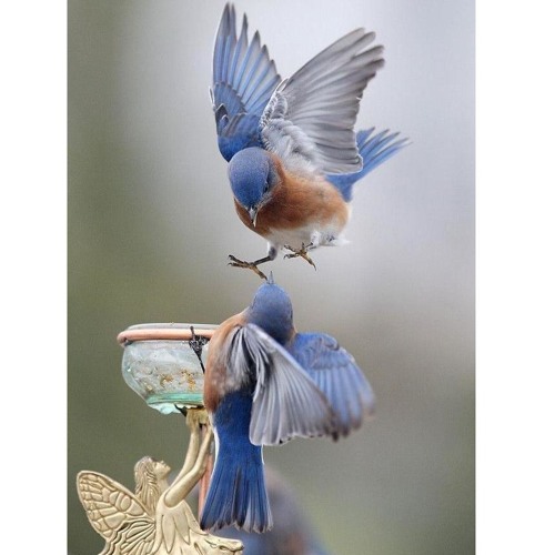 The Cinematic Orchestra - Arrival Of The Birds