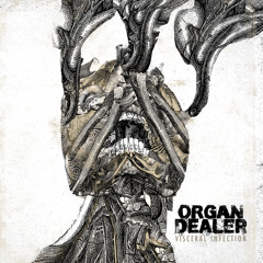 Organ Dealer - KPC-OXA48