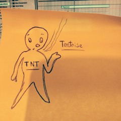 Ambient 2 / TNT (Tortoise)