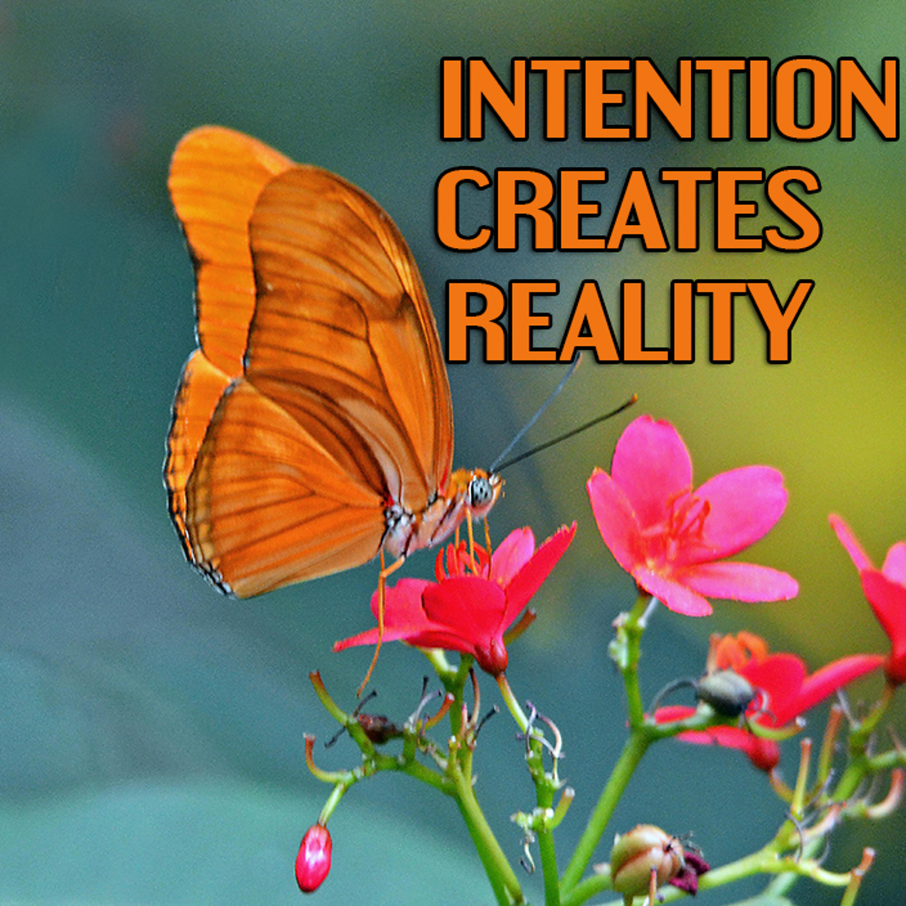 Intention Creates Reality episode artwork