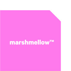 Summer Of Love - Marshmellow feat. White Papoo (Co-writing & Production)