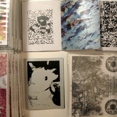 Aujx - 7 - Dog Hallucination - Mitzi - sample