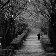 wait up      4                    me