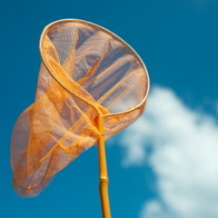 Chasing The Wind (For Sale) Produced By: J.King