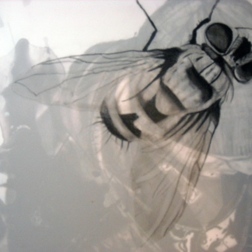 Trenchcast 11: All Vinyl