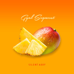 Gyal Segment (Dancehall Mix)