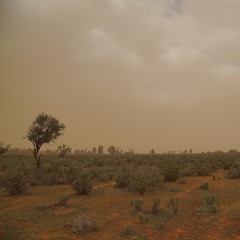 Dust Storm Approaching In The Outback