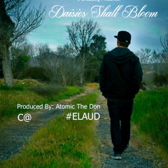 Daisies Shall Bloom