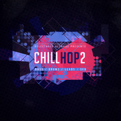 DGS66 - Chill Hop 2 - Sample Library - Exclusive at Loopmasters