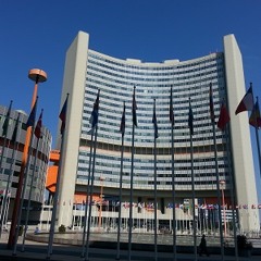 Introduction to the 'Mandela Rules' with PRI's Andrea Huber