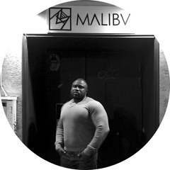 D.KO06 - Various Artists - Malibv E.P.