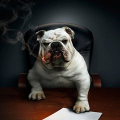 Dos Emcees (Raf E. Mcfly & Wardy)- Dog's World