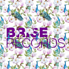 Helmut Dubnitzky & Jackspot - Dissident Ballet Feat Phill Kullnig - (Snippet)