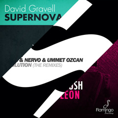 Napoleon Supernova Revolution (Mashup) [FREE DOWNLOAD]