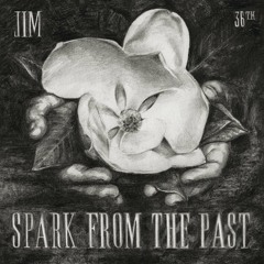 JIM - Mystery Of Perse - DMR001 - (CD & Digital)