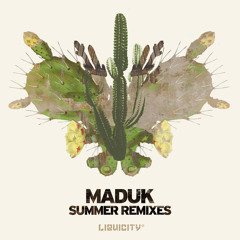 Low5 & T:base ft Jess - Rollercoaster [Maduk Remix]