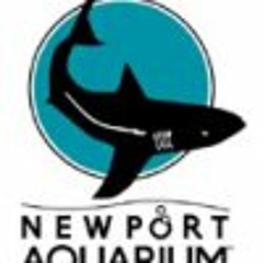 Newport Aquarium Radio Spot 2