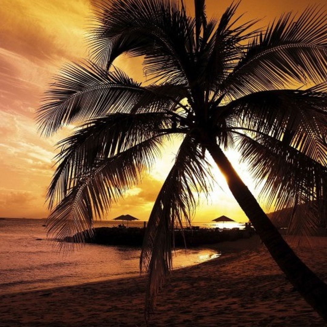 Stream 夕焼け ～Fading Day～ (burning orange remix) by yamanoimo