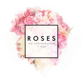 The&#x20;Chainsmokers Roses&#x20;&#x28;Ft.&#x20;Rozes&#x29; Artwork