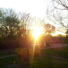 Headz Gona Fly-Crazy 8 & 34 PRO at Germany/Canada,MTL