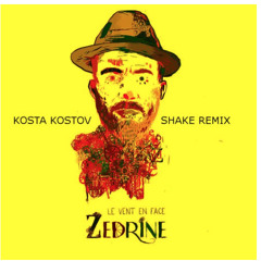 Zedrine - Le Vent En Face (Kosta Kostov Remix) - FREE DOWNLOAD -