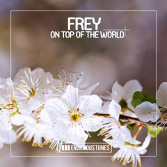 Frey - Ridin' Higher (Radio Mix) OUT NOW : #2 ON BEATPORT