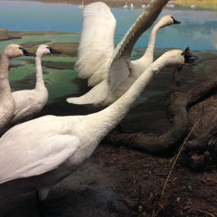 ++FREE BEAT++ The Beat You've Been Waiting For!!    d[-_-]b